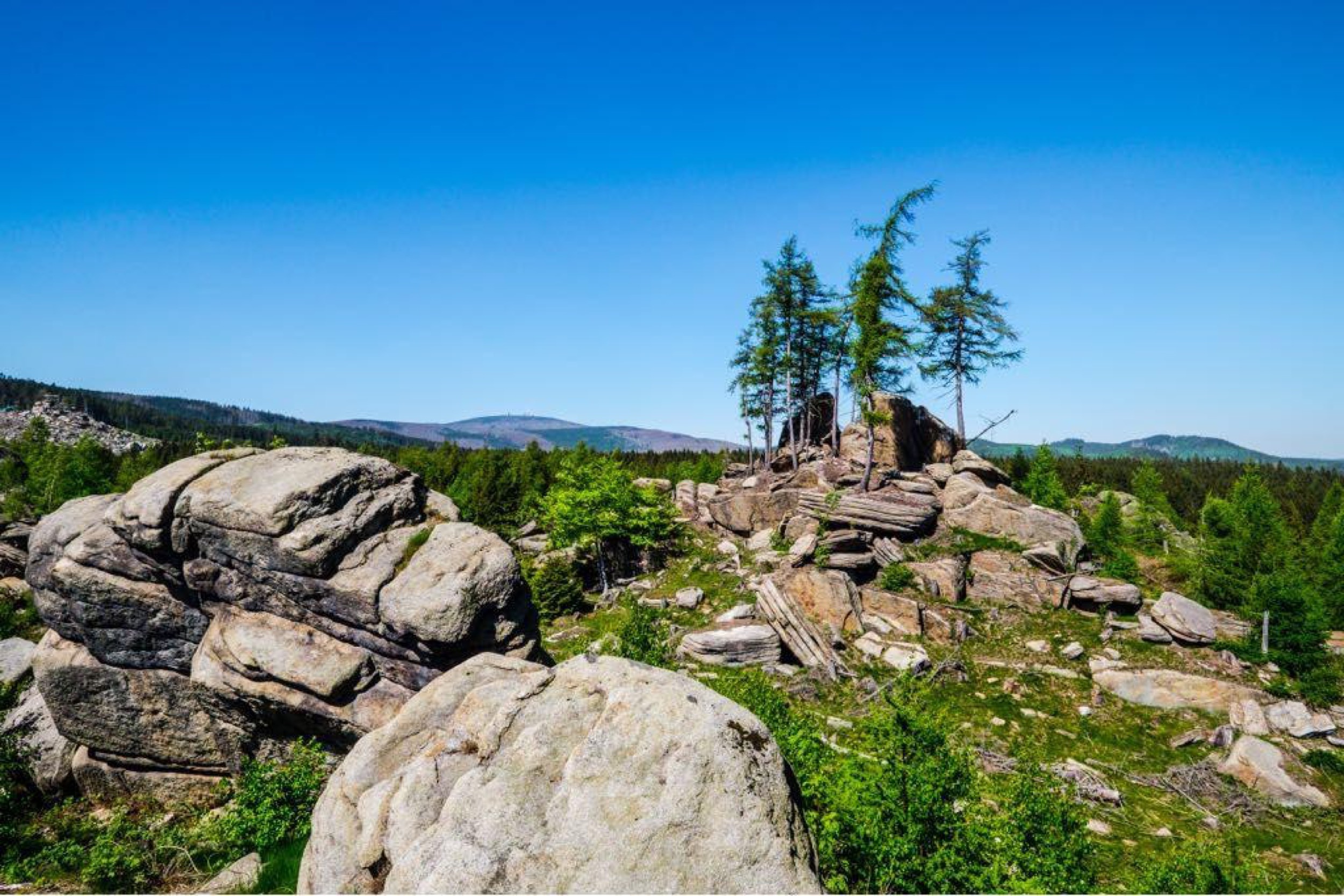 Carlshaus im Harz aussicht auf harz wald