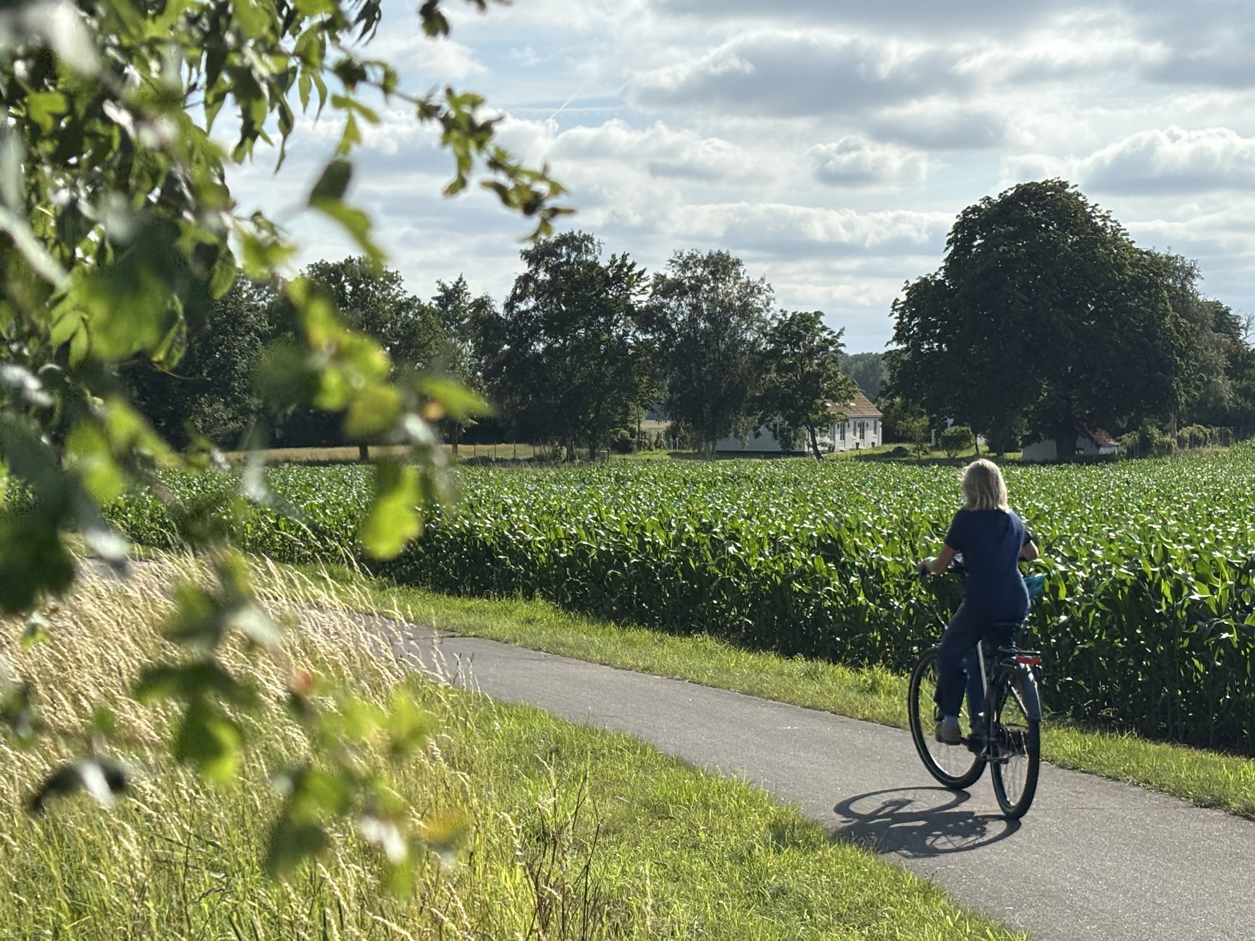 Landhaus Sensby Fahrrad Fahren