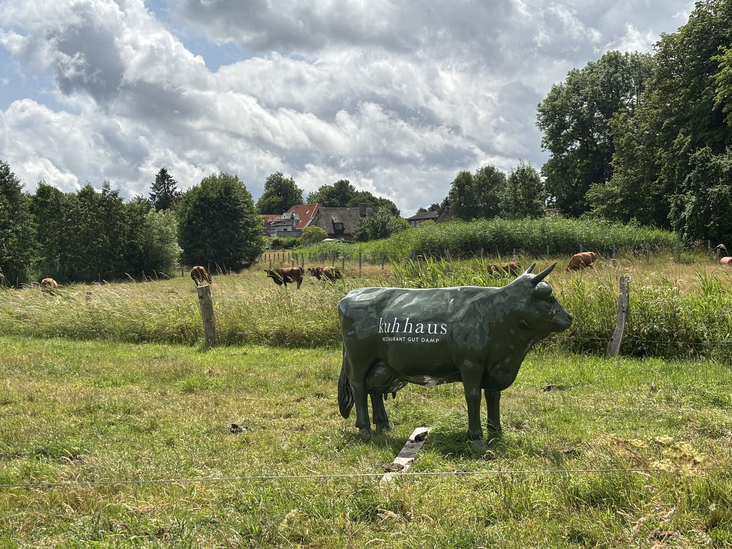 Landhaus Sensby an der Schlei Blick aufs Haus