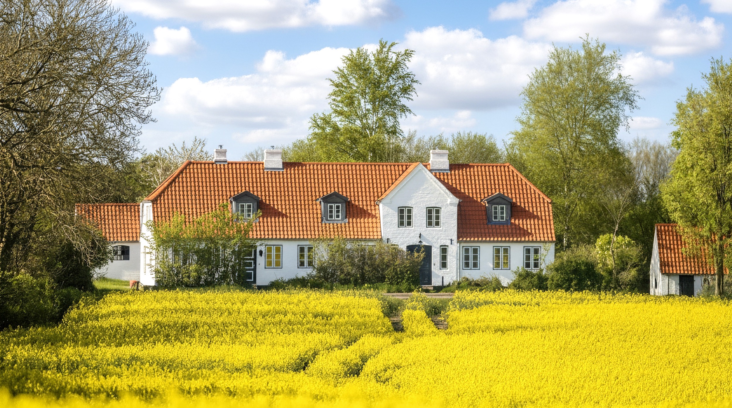 Landhaus Sensby im Sommer Rapsfeld sonnig