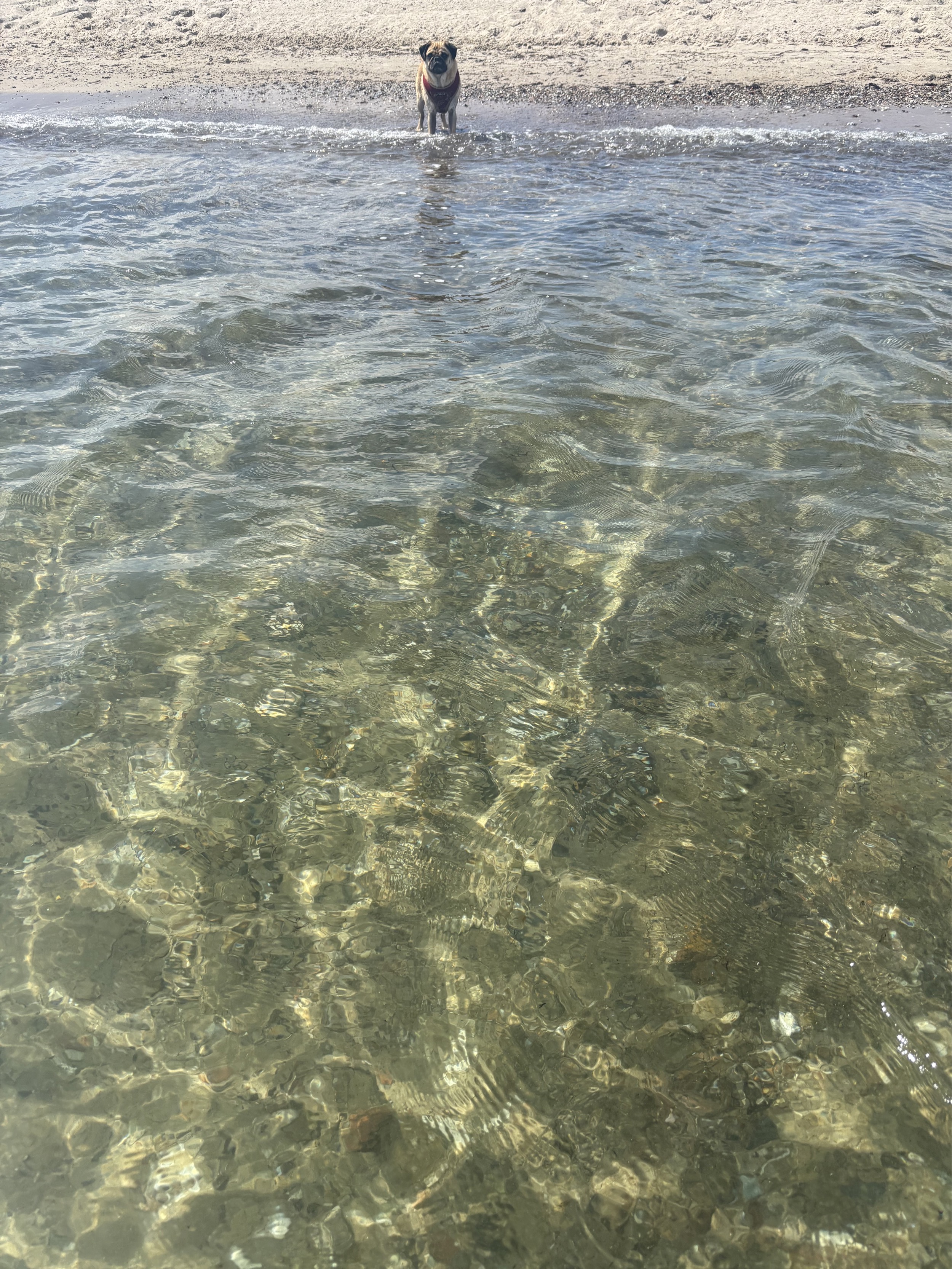 Landhaus-Sensby-ostsee-strand-im-sommer-3