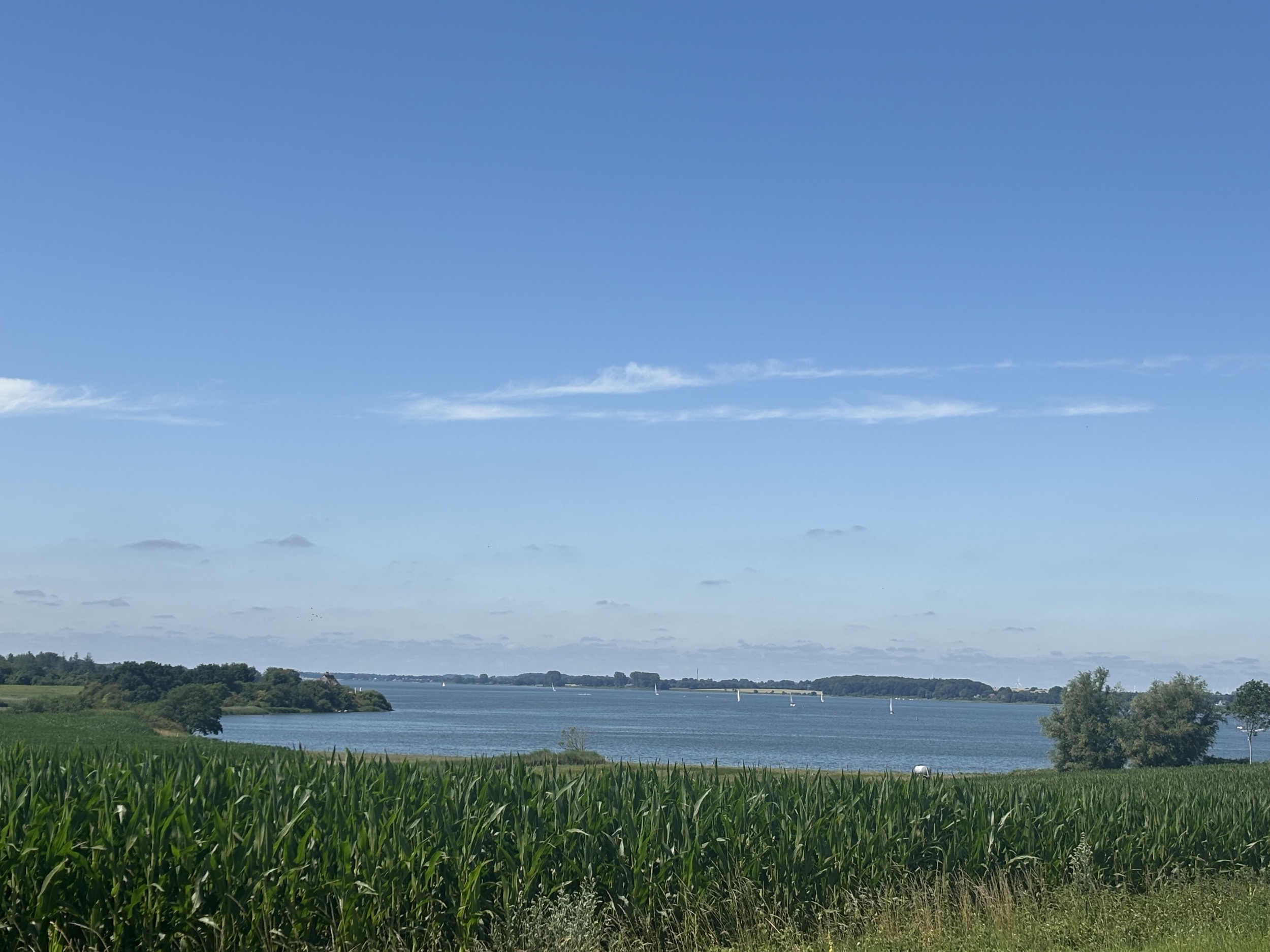 Landhaus Sensby schlei ansicht sommer 1