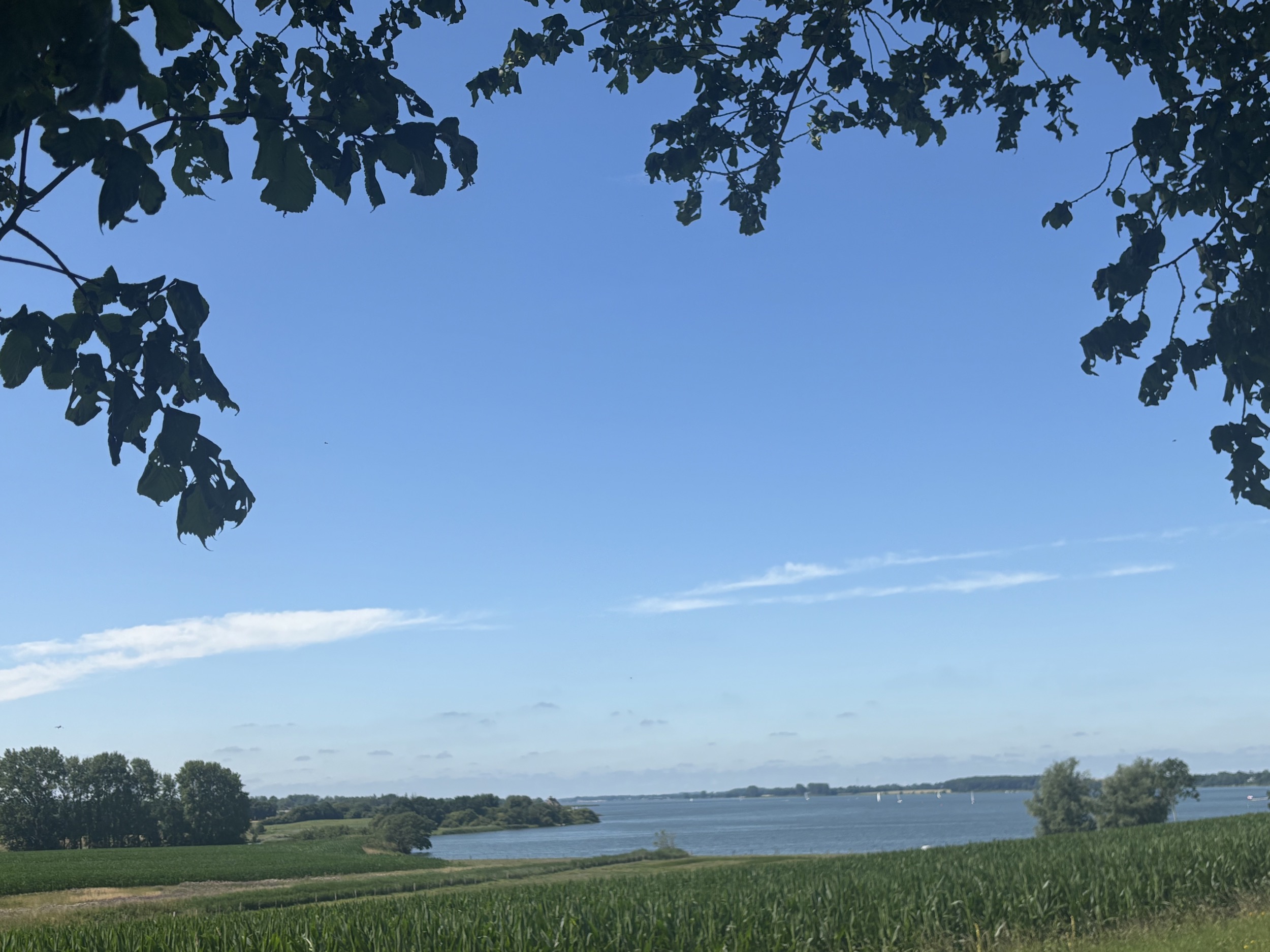 Landhaus Sensby schlei ansicht sommer 2