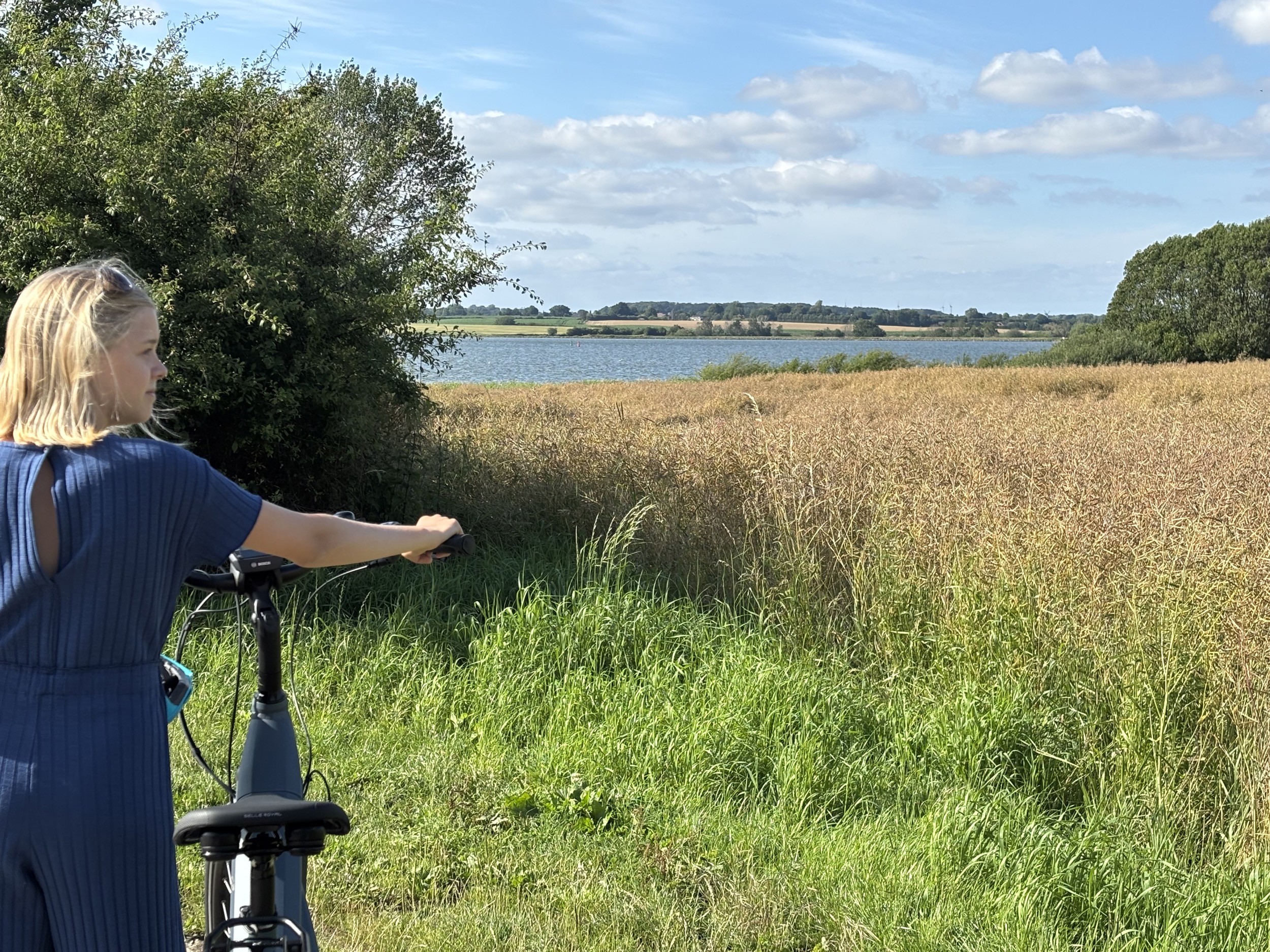 Landhaus Sensby schlei ansicht sommer 7